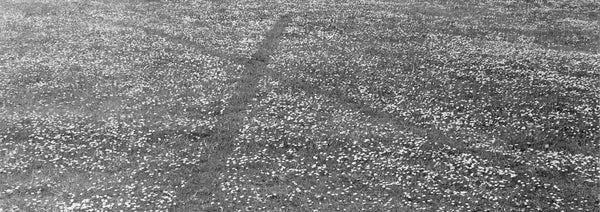 Richard Long